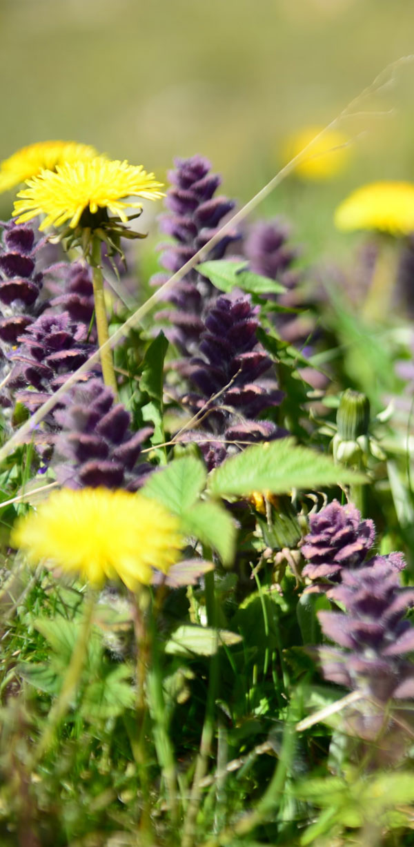 Skulptur i Pilane 2020